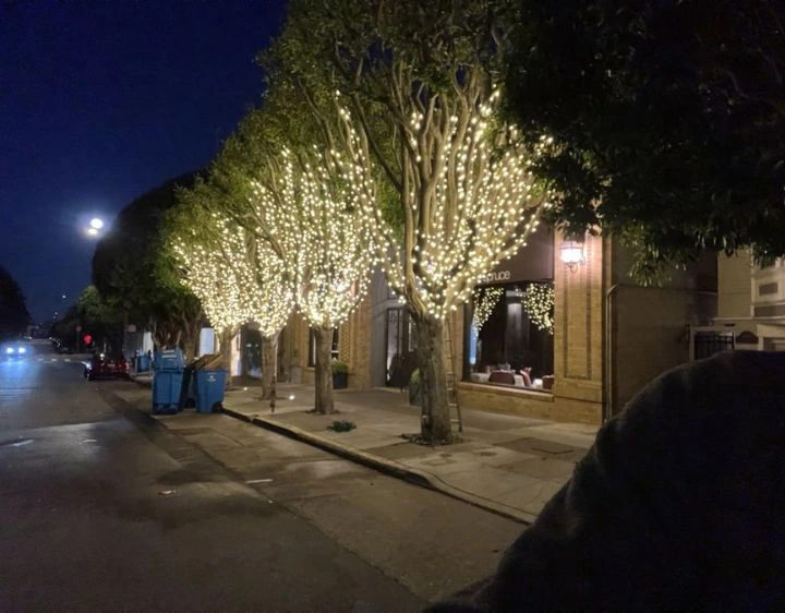 LED Warm White Mini Lights