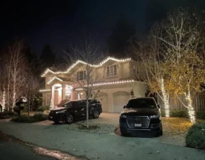 LED C7 Warm White Lights​