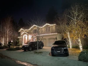 LED C7 Warm White Lights